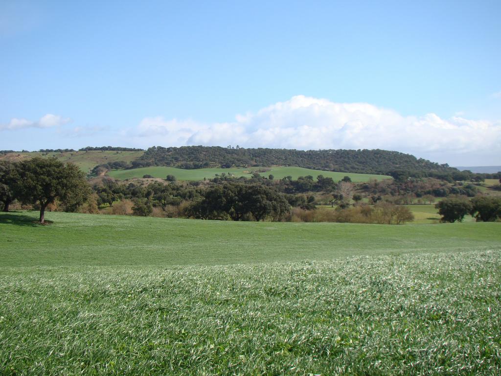 Villa Quinta Da Mata à Sobral  Chambre photo
